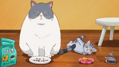 Грустный и толстый кот