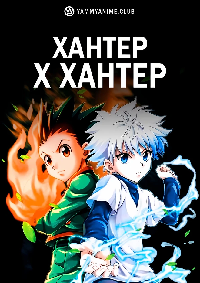 Постер к аниме Хантер х Хантер (2011)
