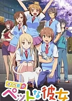 Постер к аниме Кошечка из Сакурасо