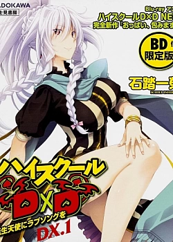 Постер к аниме Старшая школа DxD New OVA
