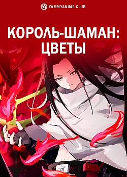 Постер к аниме Шаман Кинг: Цветы