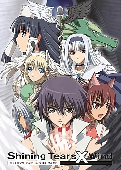Постер к аниме Сверкающие слезы и ветер