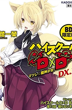 Постер к аниме Старшая школа DxD: Рождение — Эпизод 13