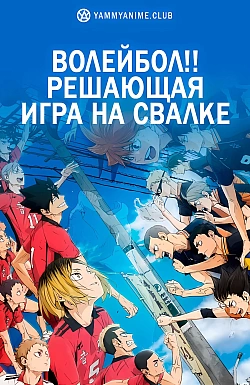 Постер к аниме Волейбол!! Решающая игра на свалке
