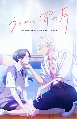 Постер к аниме Прекрасная вечерняя луна