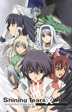 Постер к аниме Сверкающие слезы и ветер