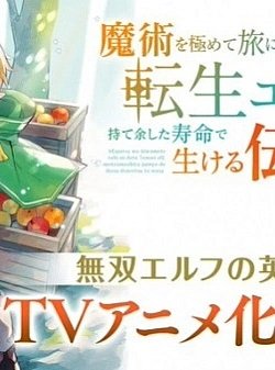 Постер к аниме Эльф-реинкарнатор, достигший вершин магии